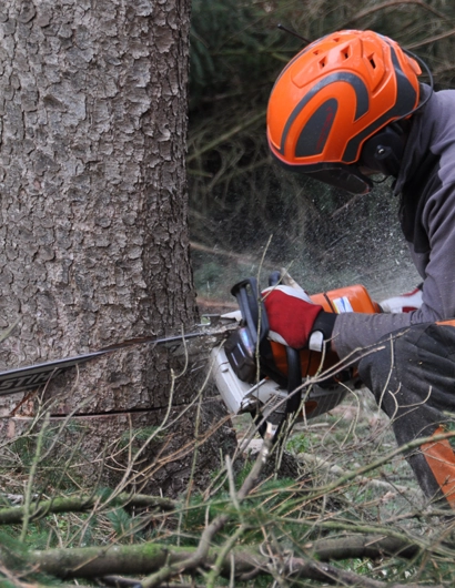 Reliable and Safe Tree Removal